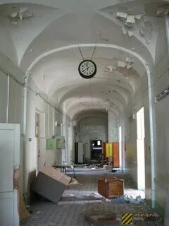 Пни 1