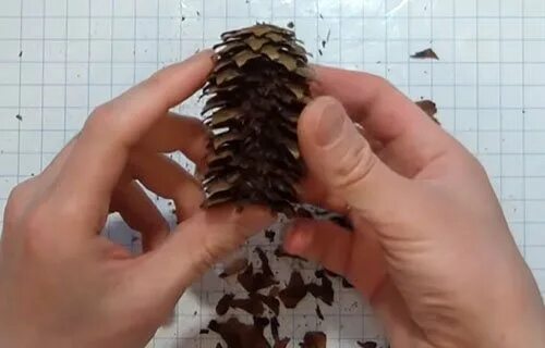 Как сделать ежика из шишек еловых пошагово. Каркас для ежика из шишек. еж из шишек на бумаге. ежик из бутылки и шишек пошагово. ежик из большой шишки и пластилина.