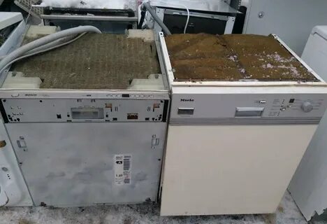 Сдать посудомойку
