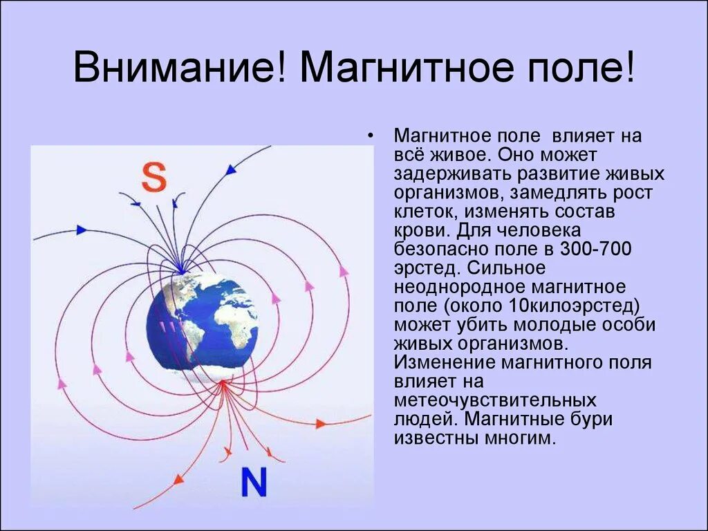 Локальное воздействие постоянного магнитного поля на человека. Магнитное поле. Напряженность магнитного поля земли. Параметры магнитного поля земли. Магнитное поле человека.