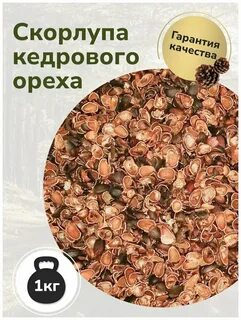 Как настоять кедровую скорлупу