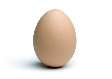 Egg picture