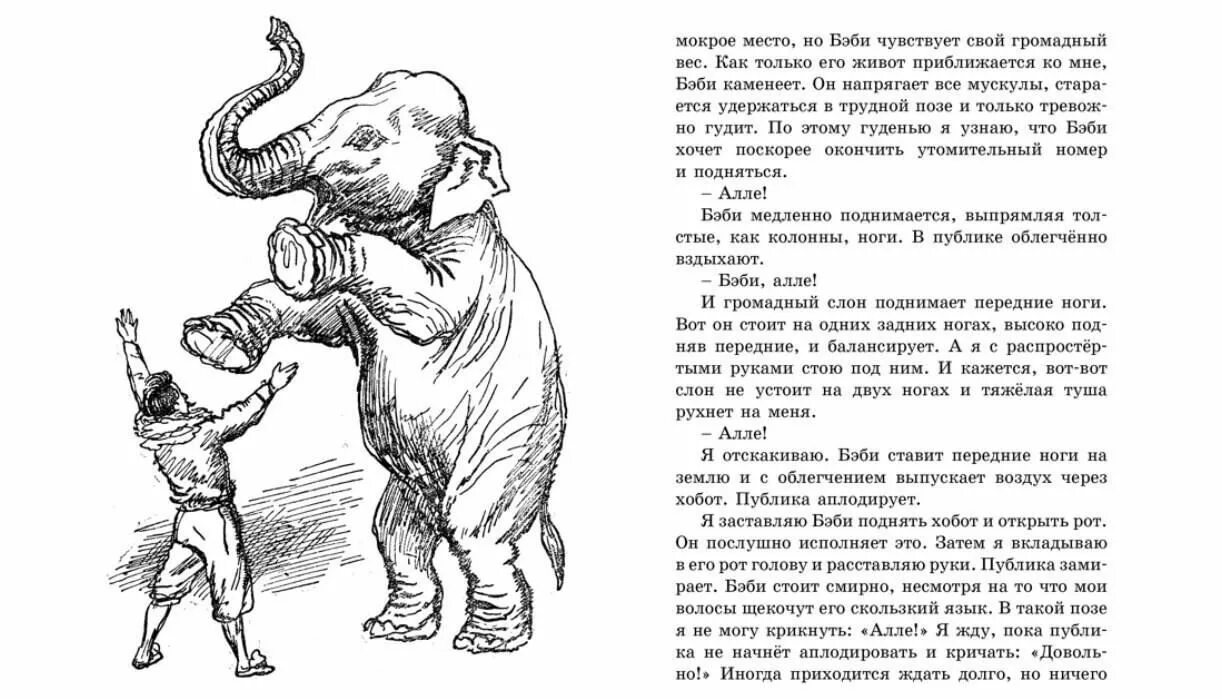 Краткое содержание слона куприна. Какие книги написал куприн. Как понять жанр рассказа. Куприн слон". Куприн а.