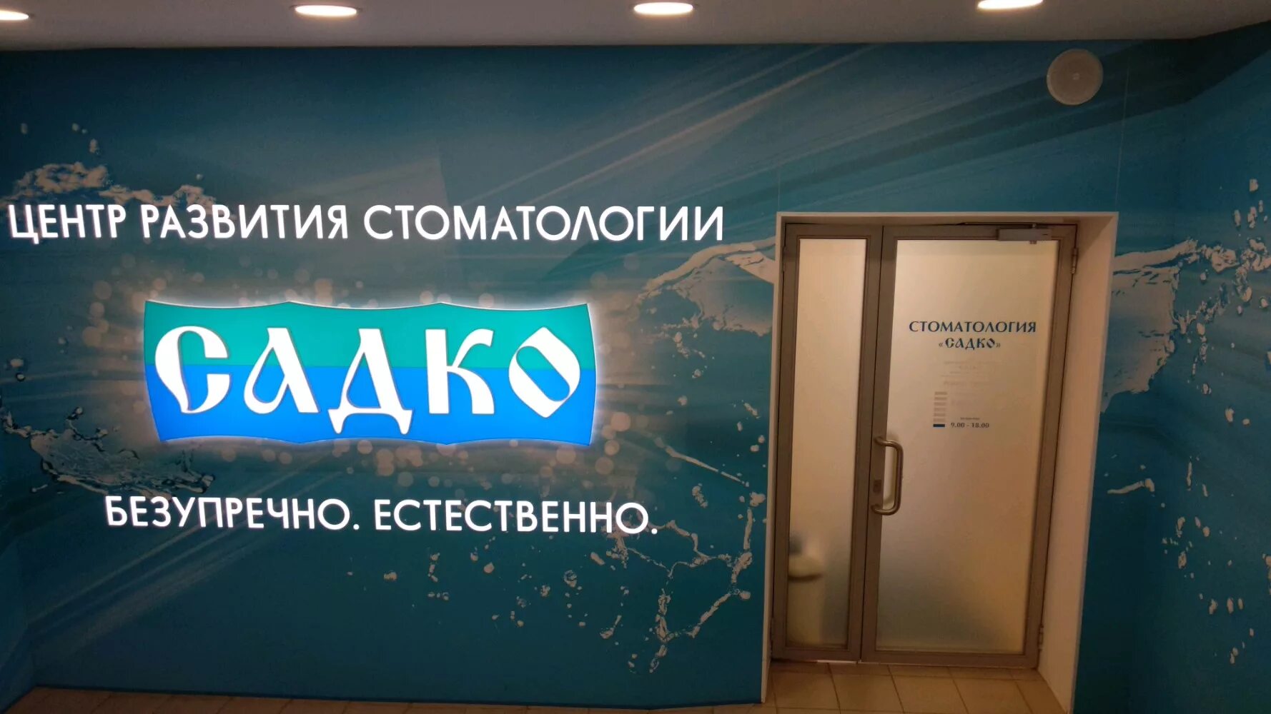 Семечки садко. Садко семена нижний. Садко семена нижний. Морковь садко. Советская 20 нижний новгород семена.