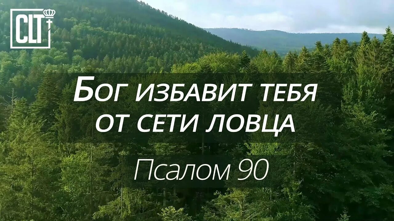 Избавь бог от друзей. Он избавит тебя от сети ловца. бог освобождает. библия надеюсь есть у вас читайте 90 псалом.