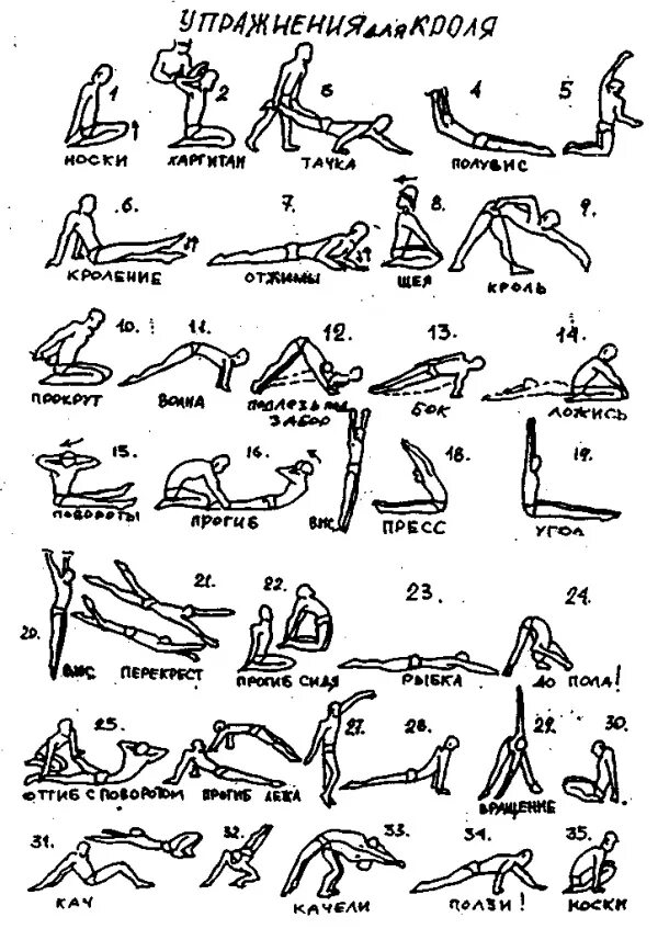 Комплекс кифута для пловцов упражнений. 25 упражнений кифута баттерфляй. Комплекс кифута упражнений брасса. 25 золотых упражнений кифута для пловцов на суше для кроля. Упражнения для кроля на суше комплекс упражнений.