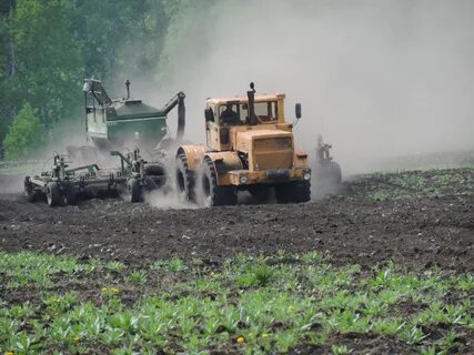 Промышленность и сельское хозяйство кузбасса
