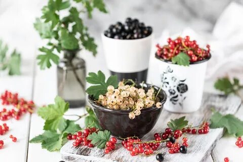 Белая красная смородины
