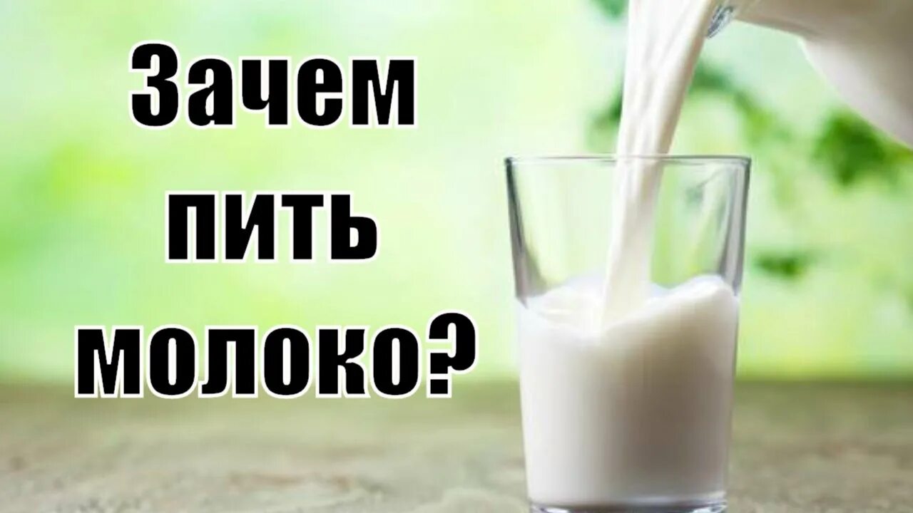Почему герою необходимо было пить молоко. Молоко надо пить. Зачем надо пить молоко. Что будет если пить молоко. Что если пить молоко каждый день.