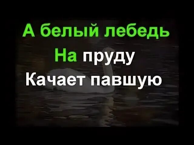 А белый лебедь на пруду караоке. Караоке белый лебедь на пруду караоке. Белый лебедь на пруду текст текст. А белый лебедь на пруду текст.