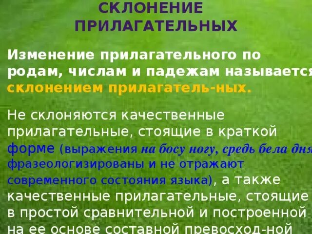 В какой форме прилагательные изменяются по родам. Имена прилагательные изменяются по родам и числам. Изменение прилагательных по родам числам и падежам. Изменение прилагательного по родам. Изменение имен прилагательных по родам числам и падежам.