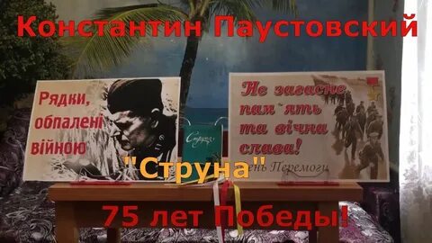Рассказ паустовского струна