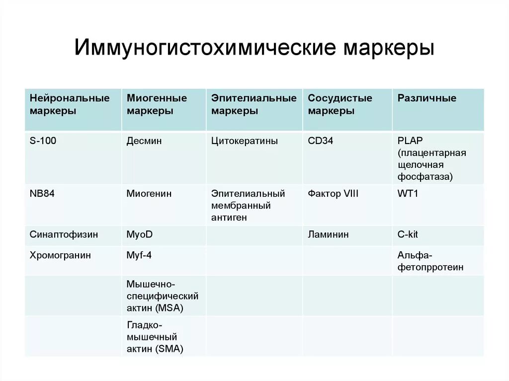 Иммуногистохимия опухоли молочной железы. Иммуногистохимические маркеры опухолей. Иммуногистохимическое исследование опухоли. Иммуногистохимические исследования в онкологии.