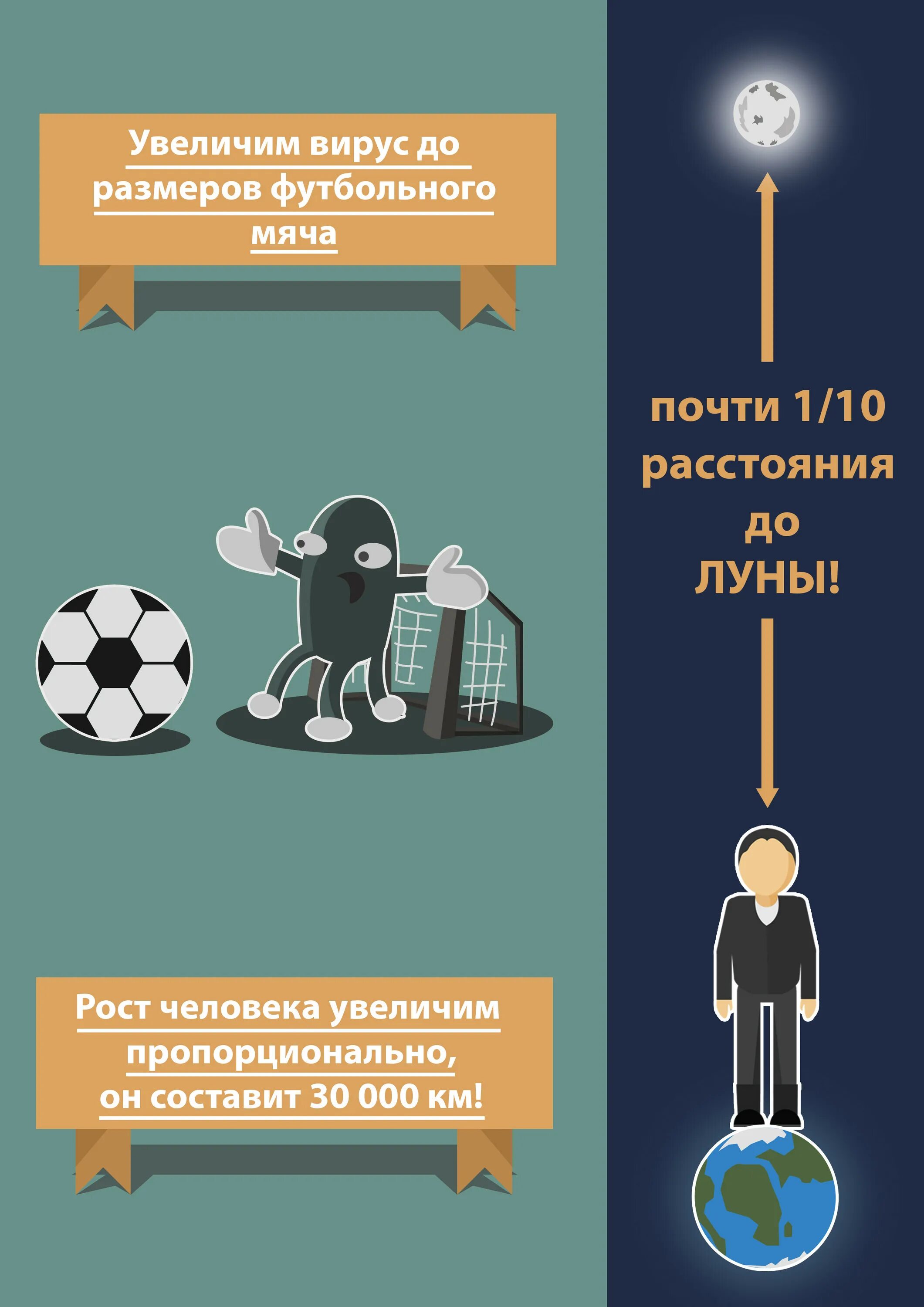 Вирусы по биологии 5 класс. Вирусы кратко. Факты о вирусах 5 класс. Интересные вирусы. Факты про вирусы 5 класс.