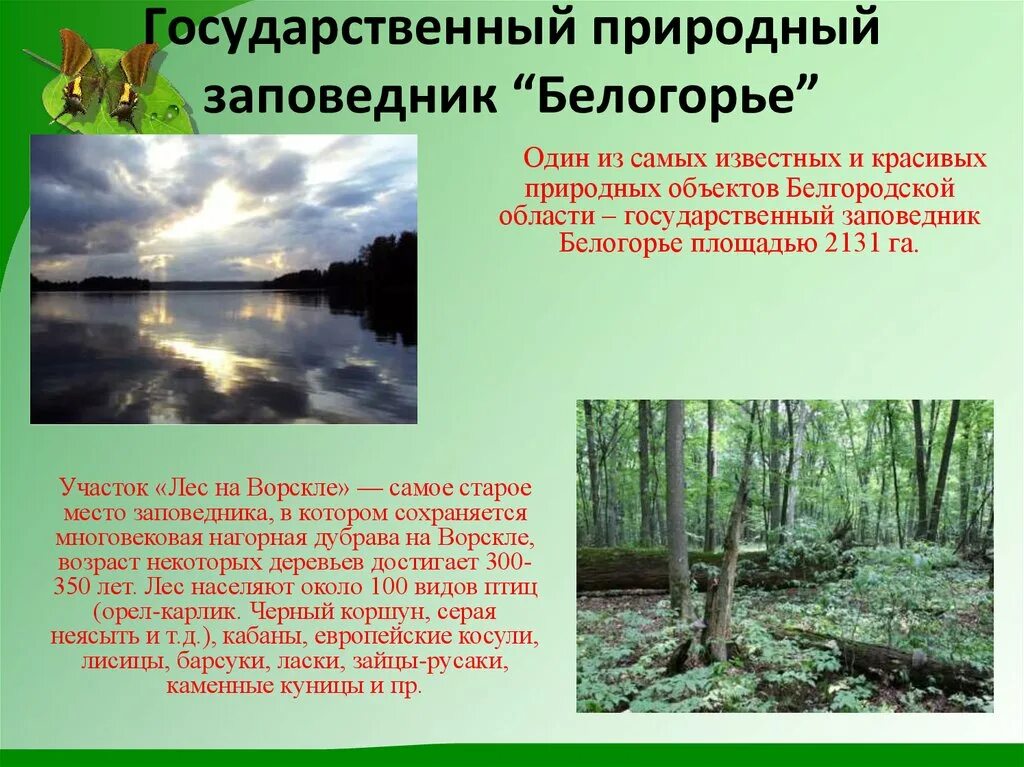 Сообщение о природных заповедниках