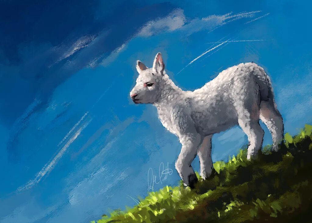 Овцы арты. Овцы арты. Овечки. Овца акварель. Барашек акварель.