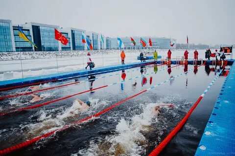 Кубок большой невы