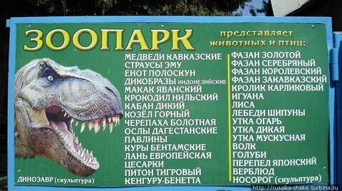 Билета и расписание зоопарк новосибирск