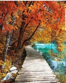 Natural fall