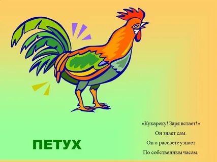 Кукарека кукареку