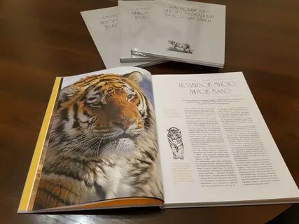 Книга амурский