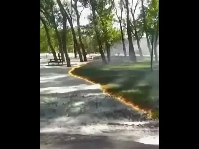 Тополиный пух лед 2