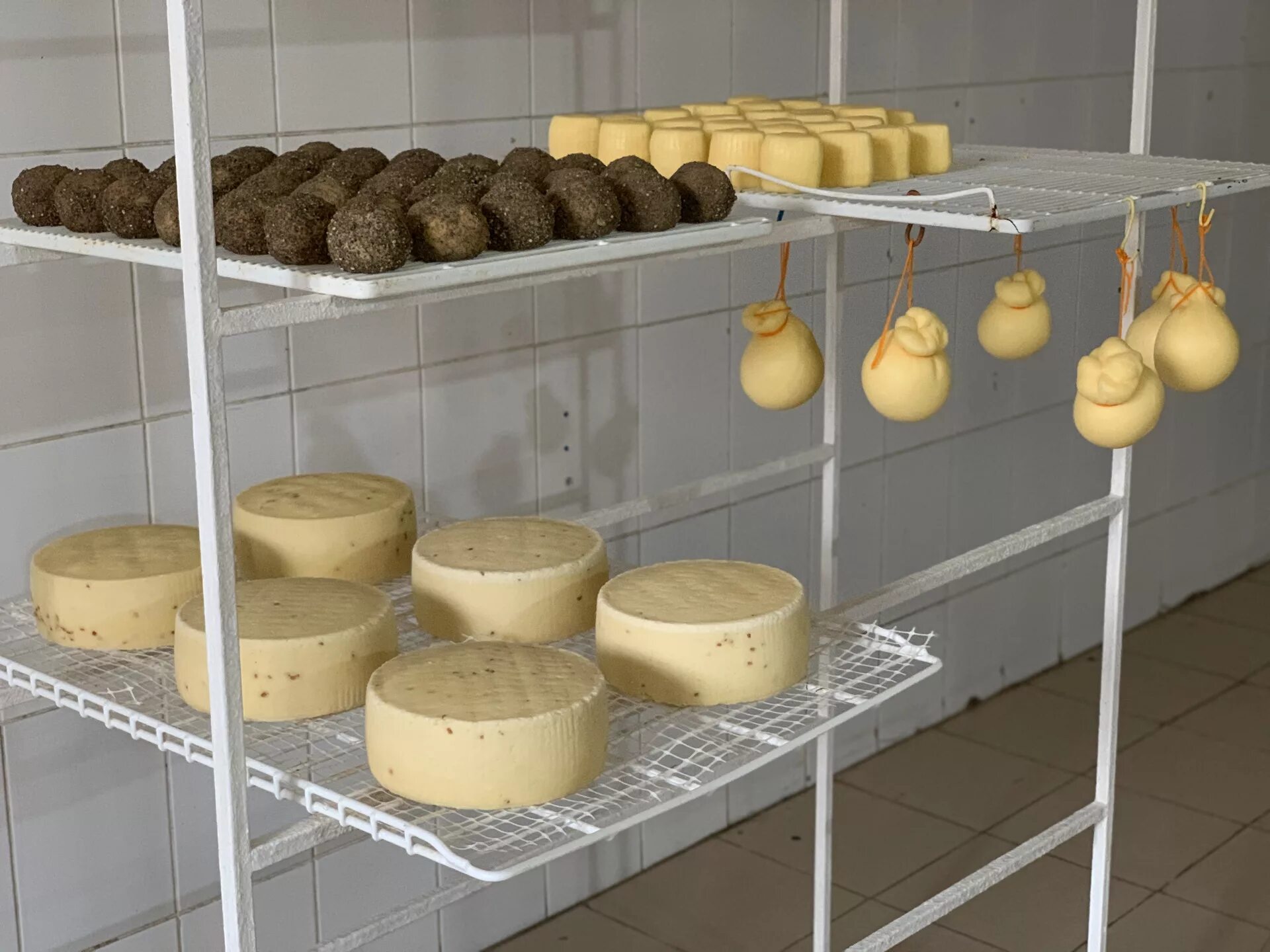 Сыроварня грюйер. Итальянские сыры. Сыроварня магазин. Сыроварня сырная лавка. Выкладка сыров.