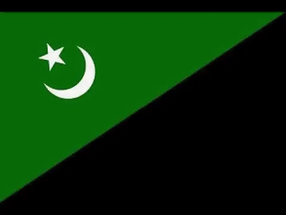 Зелёный флаг с полумесяцем и звездой. Чёрно-зелёный флаг. Зеленый флаг. Зелено черный флаг.