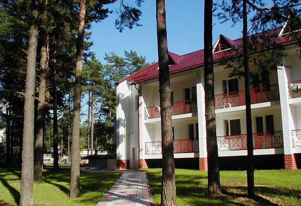 две сосны в сочи гостевой дом. сосновая роща 2 корпус абхазия. сосновая роща курганская область леса. гостиница две сосны фото. санаторий сосны раменский район пос быково.