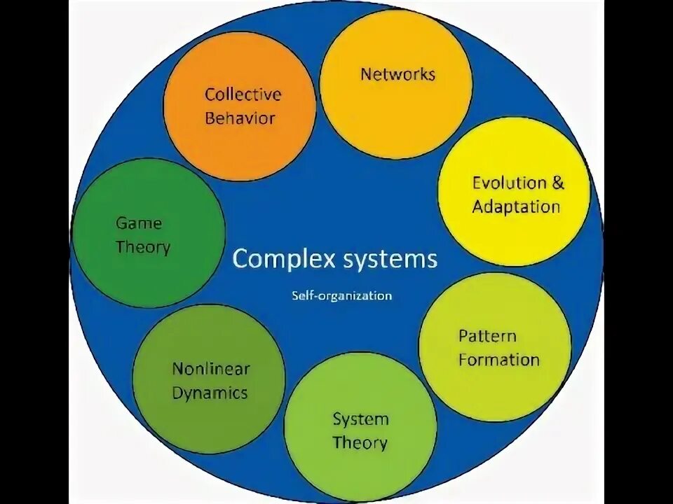 Система complex. Complex systems. what is a complex system?. ecosystem car.