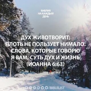 Плоть и суть