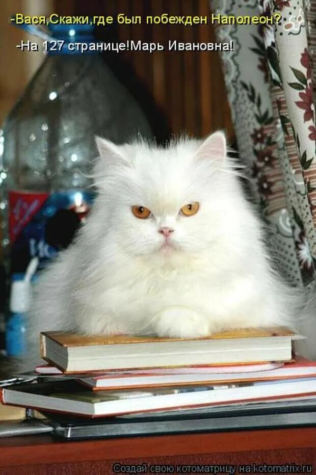 Как быть самым умным. Ученик старшеклассник. Как стать умнее в учёбе. Как стать умной в школе. Как стать умнее.