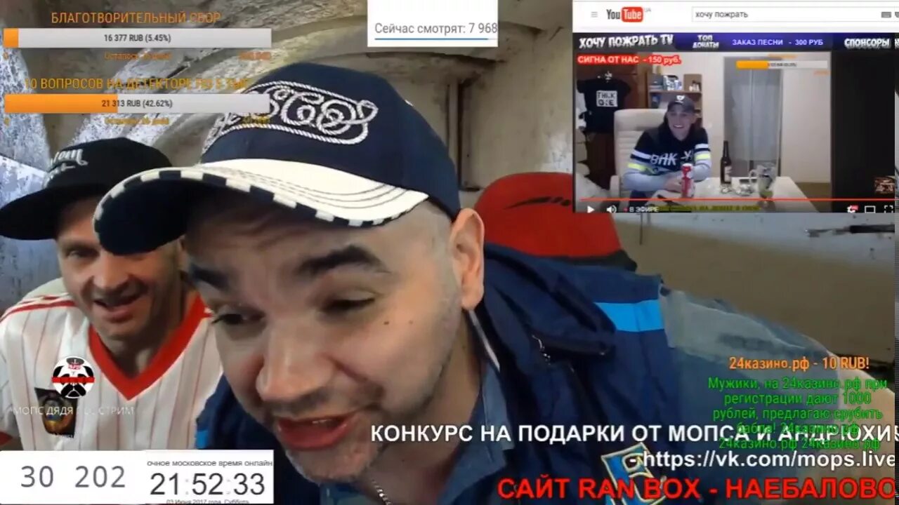 Стрим мопс пес. Мопс и андрюха. хочу пожрать. хочу пожрать тв. серый хочу пожрать.