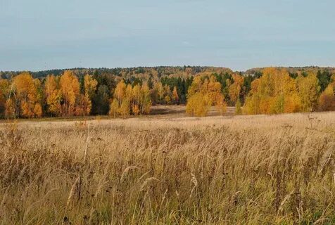 Каменские дачи