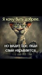 Да видит бог