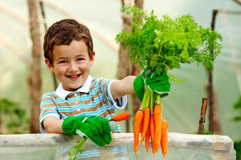 Vegetable family. Мальчик с морковкой. Овощи для детей. Овощи и фрукты для детей. Мальчик с овощами и фруктами.