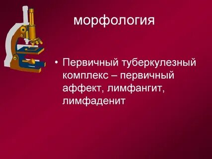 Первичный туберкулезный аффект