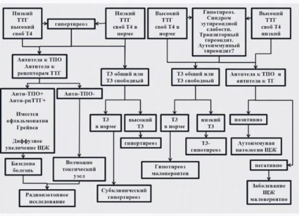 Гипотиреоз диагностический алгоритм. ТТГ норма т4 понижен. Снижение т3 при нормальном т4 и ТТГ. ТТГ снижен т4 снижен.