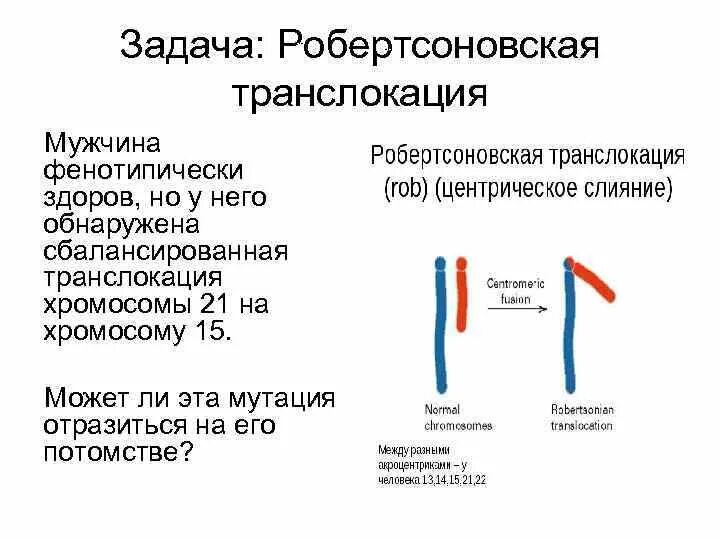 Кариотип транслокации. Сбалансированная робертсоновская транслокация. сбалансированная транслокация хромосом. робертсоновская транслокация 21. кариотип робертсоновской транслокации.