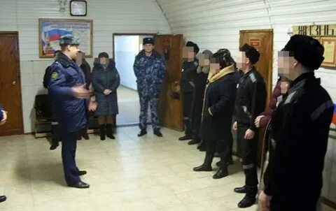 Сизо курск телефон