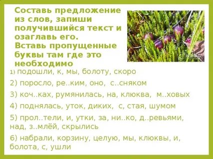 В лесу стоит мертвая закончить предложение
