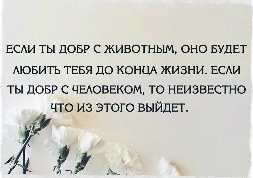 Статусы ошибок