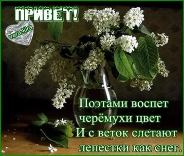 Поэт с приветом
