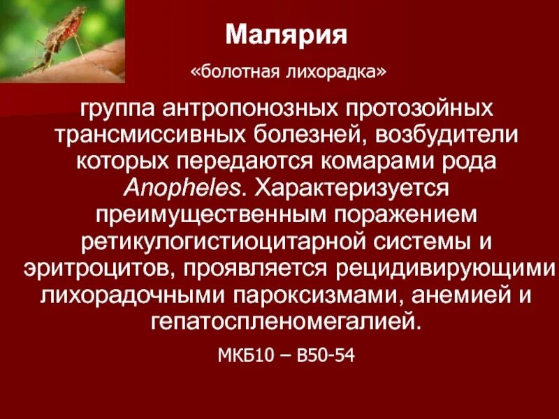 Малярия заболевание. Малярия возбудитель. малярийный плазмодий клинические проявления. малярийный плазмодий болезнь.