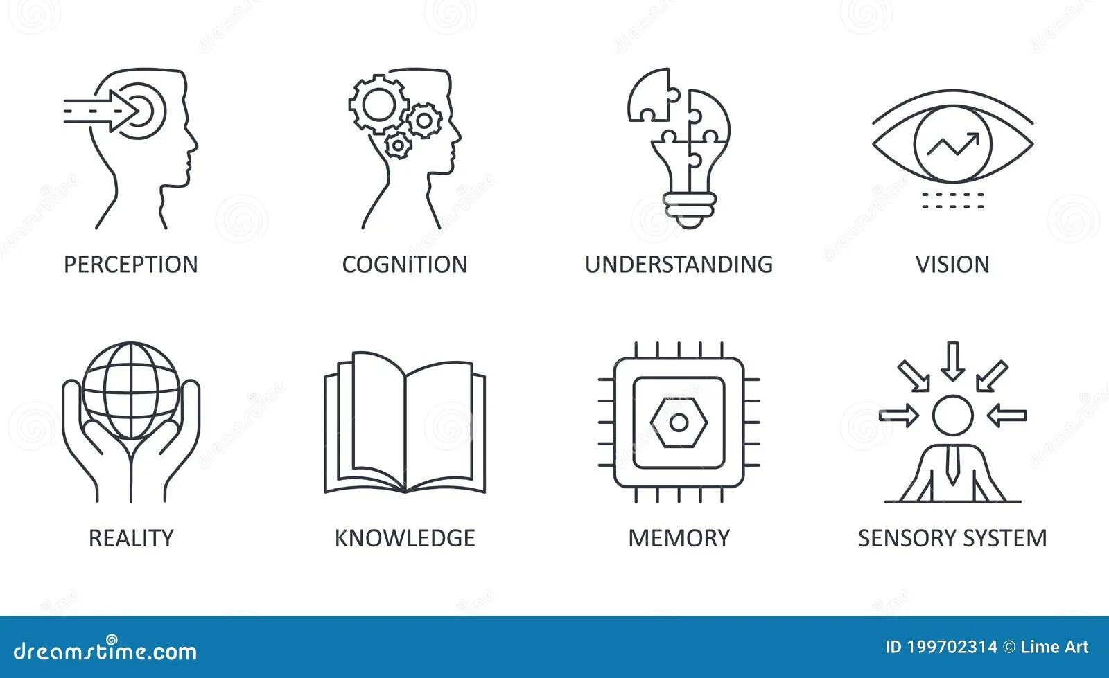 Knowledge understanding skill