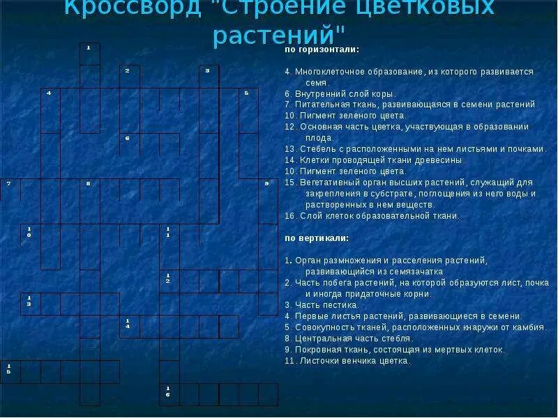 Кроссворд по биологии 6 класс органы цветковых растений с ответами. Кроссворд строение цветковых растений. Кроссворд по теме органы цветковых растений. Кроссворд на тему Покрытосеменные растения. Биология 6 класс кроссворд на тему плоды