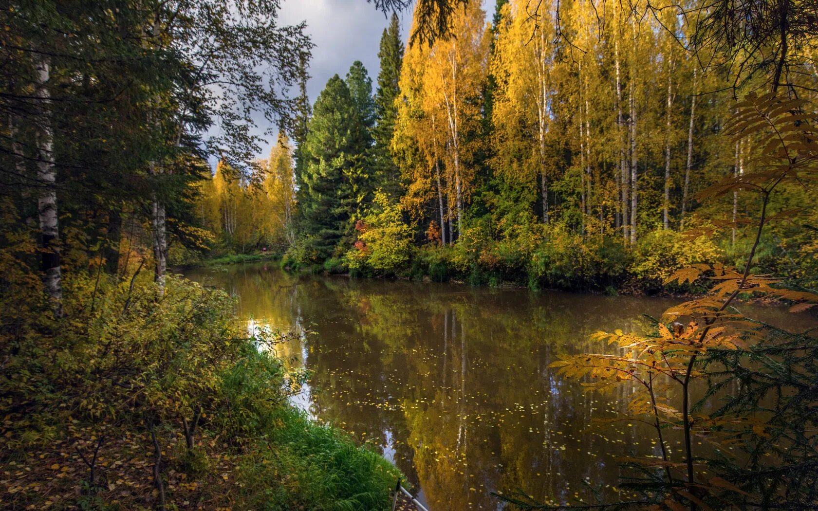 Rzeka, Drzewa, Jesień, Chmury, Kamienie, Odbicie