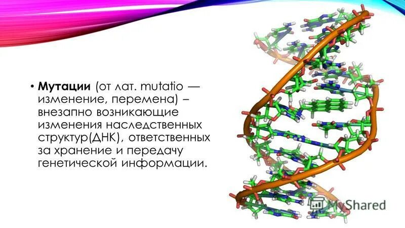 Изменение генома клетки. Изменение наследственных структур (мутации). Изменение генетической структуры. Внезапное изменение генетического состава. Изменение генома.