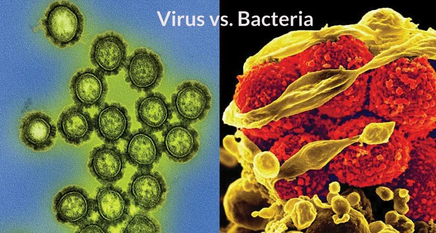 Virus diseases. Инфекции иммунной системы. Инфекционные болезни. Заражение вирусными и бактериальными инфекциями. Вирусы бактерии микробы.