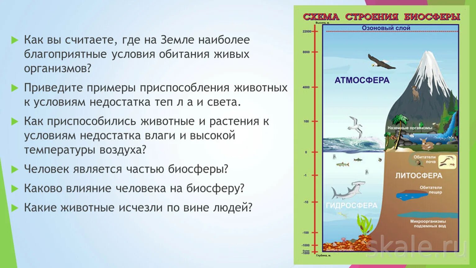 Вода благоприятная среда. Наиболее благоприятные условия для живых организмов в атмосфере. Благоприятные условия для жизни. Влияние человека на оболочку земли. Наиболее благоприятные участки среды жизни.